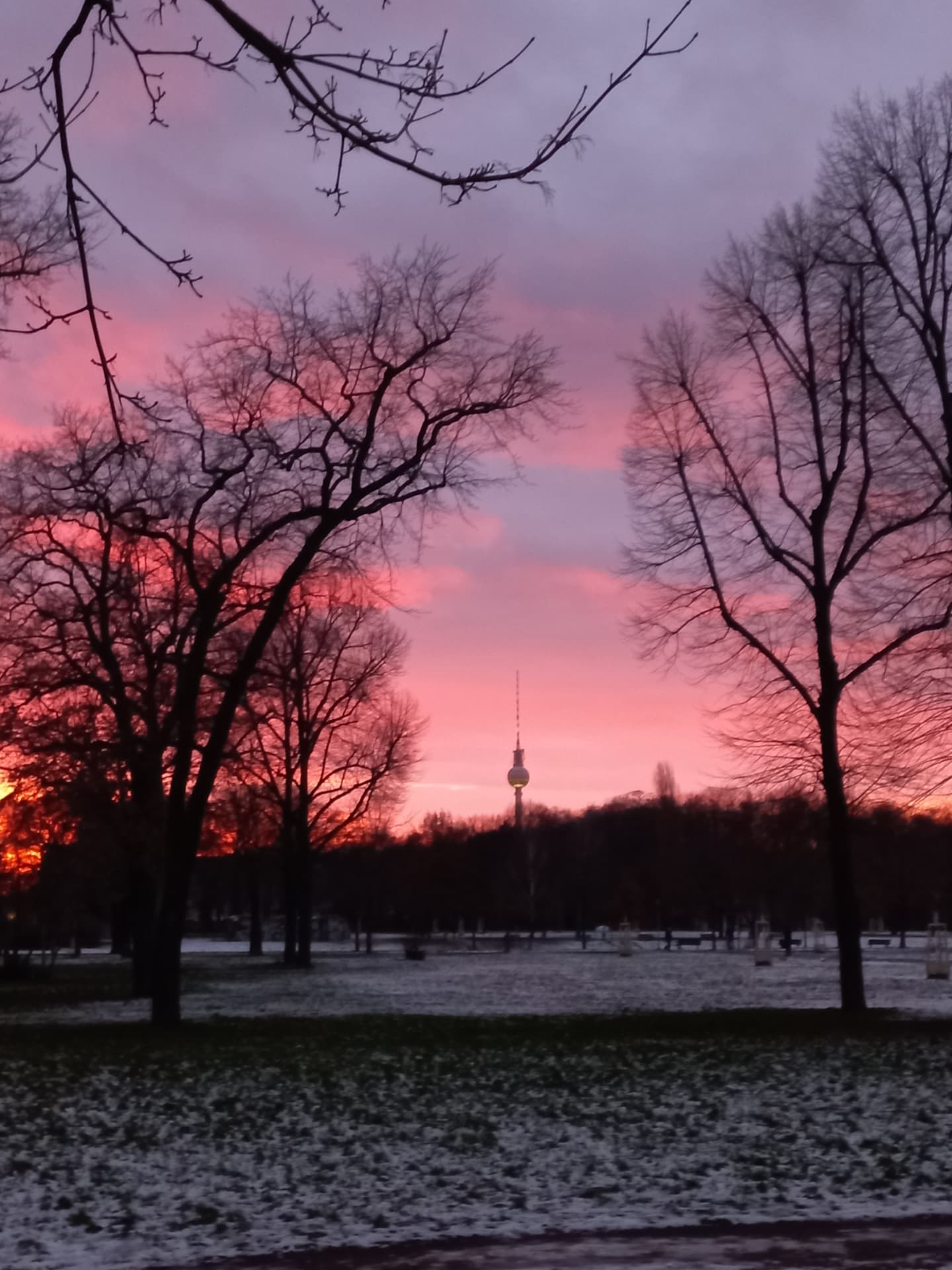 A winter sunset over a Berlin park with the Fernsehturm tower on the horizon
